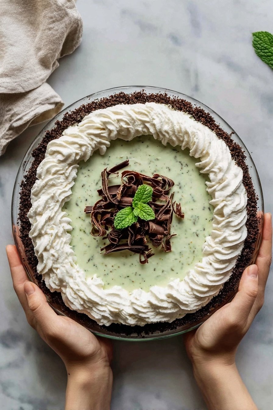 A round pie with three layers is shown. The bottom layer is a dark brown crumbly crust, the middle layer is a light green creamy filling with fine dark specks spread evenly, and the top layer is a thick ring of white whipped cream with soft, wavy peaks around the edge. In the center, there are curled dark brown chocolate shavings with a small green mint leaf garnish on top. The pie is held from two sides by a woman's hands against a white marbled surface background. Photo taken with an iphone --ar 2:3 --v 7